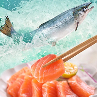 【愛上新鮮】(4包免運組)澳洲冰鮮空運鮭魚生魚片